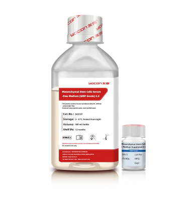 Hướng dẫn cho người mới bắt đầu hiểu về Exosome