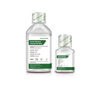 Enzyme tiêu hóa nhẹ nhàng cho tế bào gốc