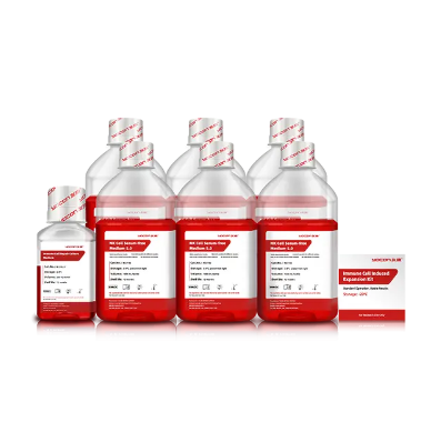 Strepto Penicillin là gì và vai trò của nó trong y học hiện đại