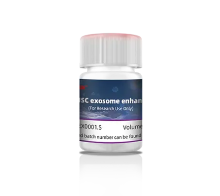 Chất tăng cường exosome tế bào gốc