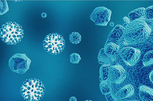 Exosome