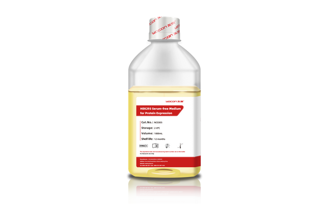 Môi trường không có biểu hiện protein HEK293