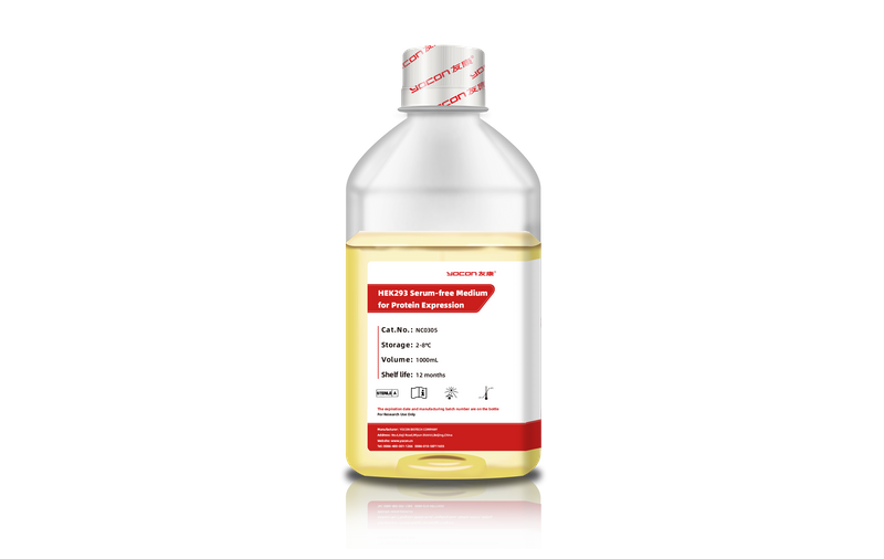 Môi trường không có biểu hiện protein HEK293